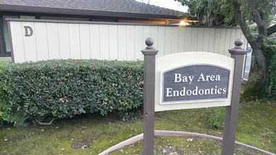 Bay Area Endodontics