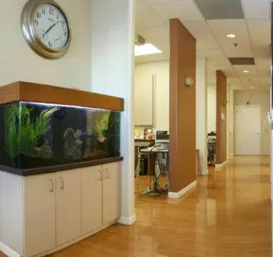 Accu Dental & Orthodontics