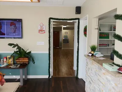 California dentistry and braces