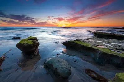 Torrey Pines Micro Endodontics - Keven S Herold, DDS
