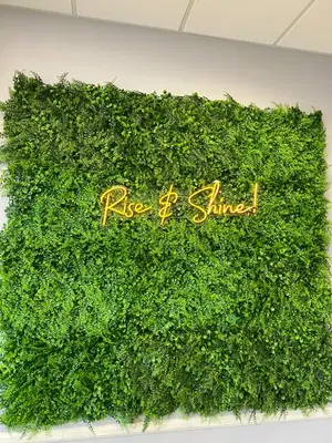 Rise Orthodontics