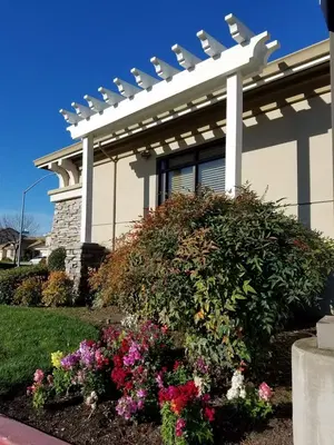 Quinnie Dental Care (Lakeview Dental)