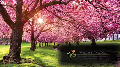 Wayne T. Yee, DDS
