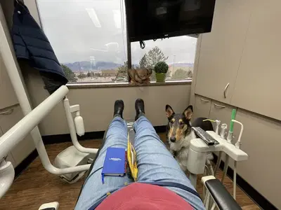 Mark Mollner DDS