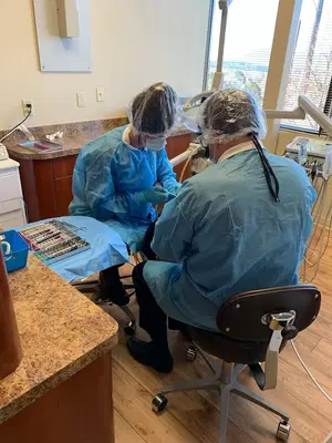 Dental Health and Wellness: Chris Brady, DDS