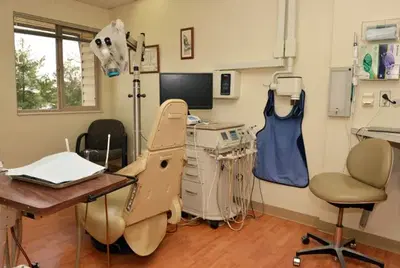 Andante Endodontic Specialists PLLC