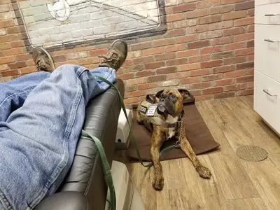 Business Photo