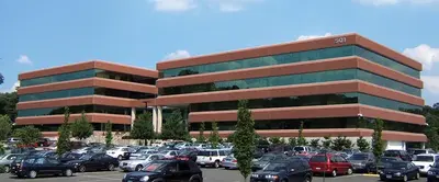 Whole Body Dentistry