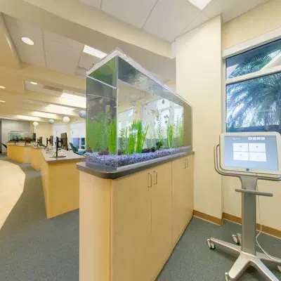 Gulf Coast Orthodontics