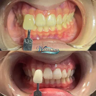 Westland Dental Group