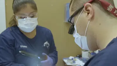 Proscia Dental