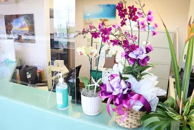 Kapalama Kai Dental - Max Uyeda DDS