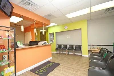Orthodontic Experts