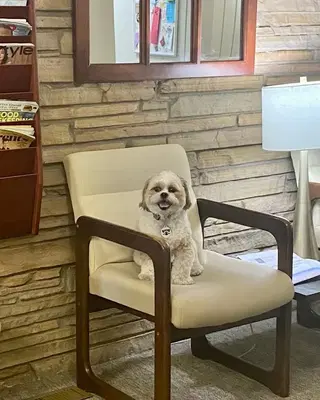 Business Photo