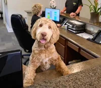 Business Photo
