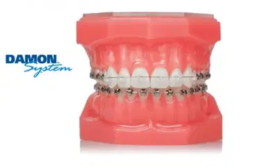 Frugé Orthodontics