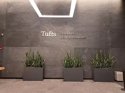 Tufts Dental Associates