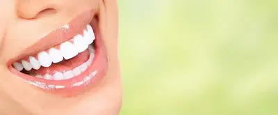 Lee Plaza Dental