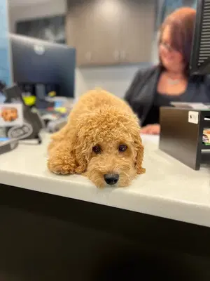Business Photo