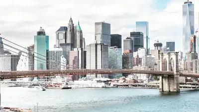 World Trade Center Dental Group, Homam Saleh ,DDS