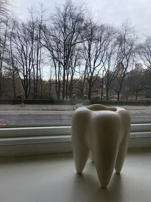 Central Park Dentistry