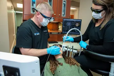 Wright Dental Center - Anderson Office