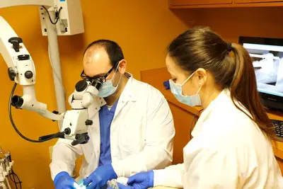Endodontics Limited