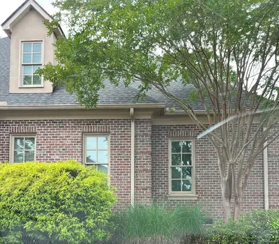 Greenville Endodontics