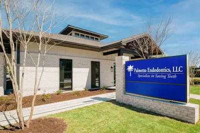 Palmetto Endodontics