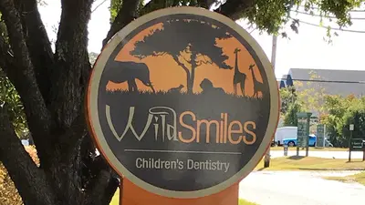 Wild Smiles - Lexington