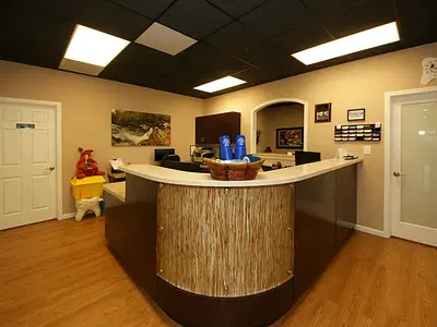 Business Photo