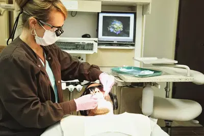 Myers Dental
