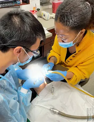 ToothHQ Dental Specialists