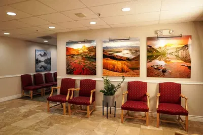Olympus View Dental