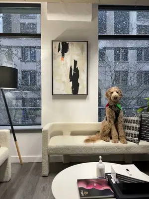 Business Photo