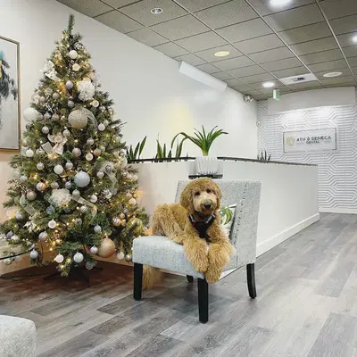 Business Photo